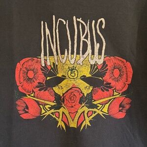 Incubus 2004 Tour Vintage Band T-shirt